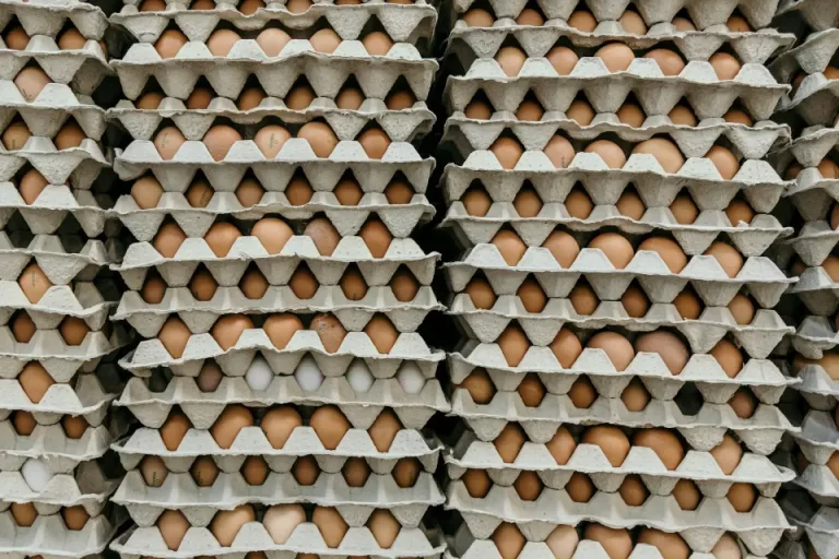 eggs